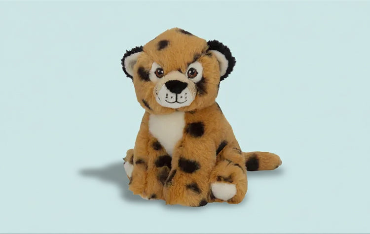 Cheetah