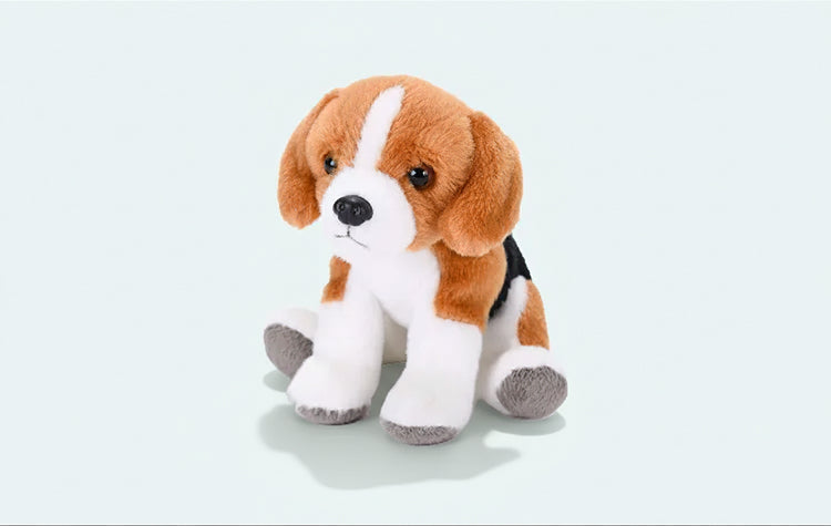 Honden