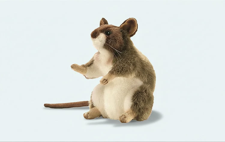Ratten en Muizen