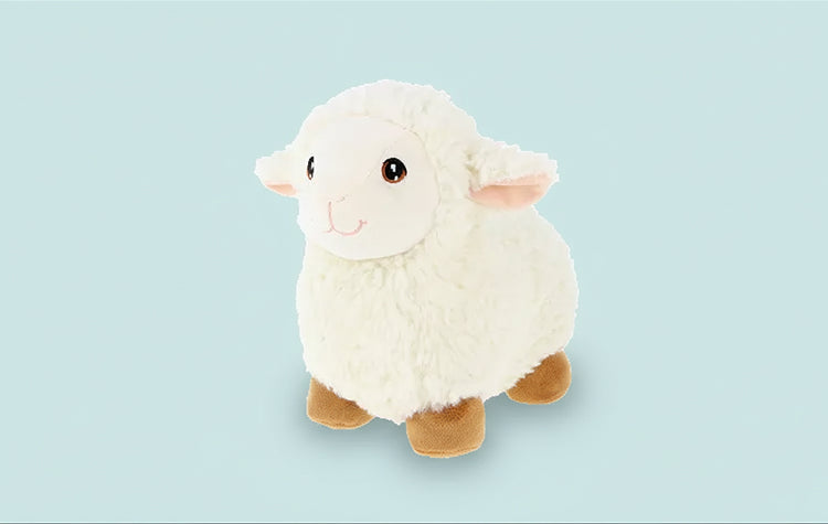Schapen