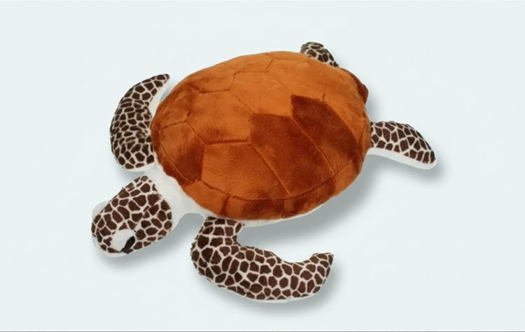 Zeeschildpad