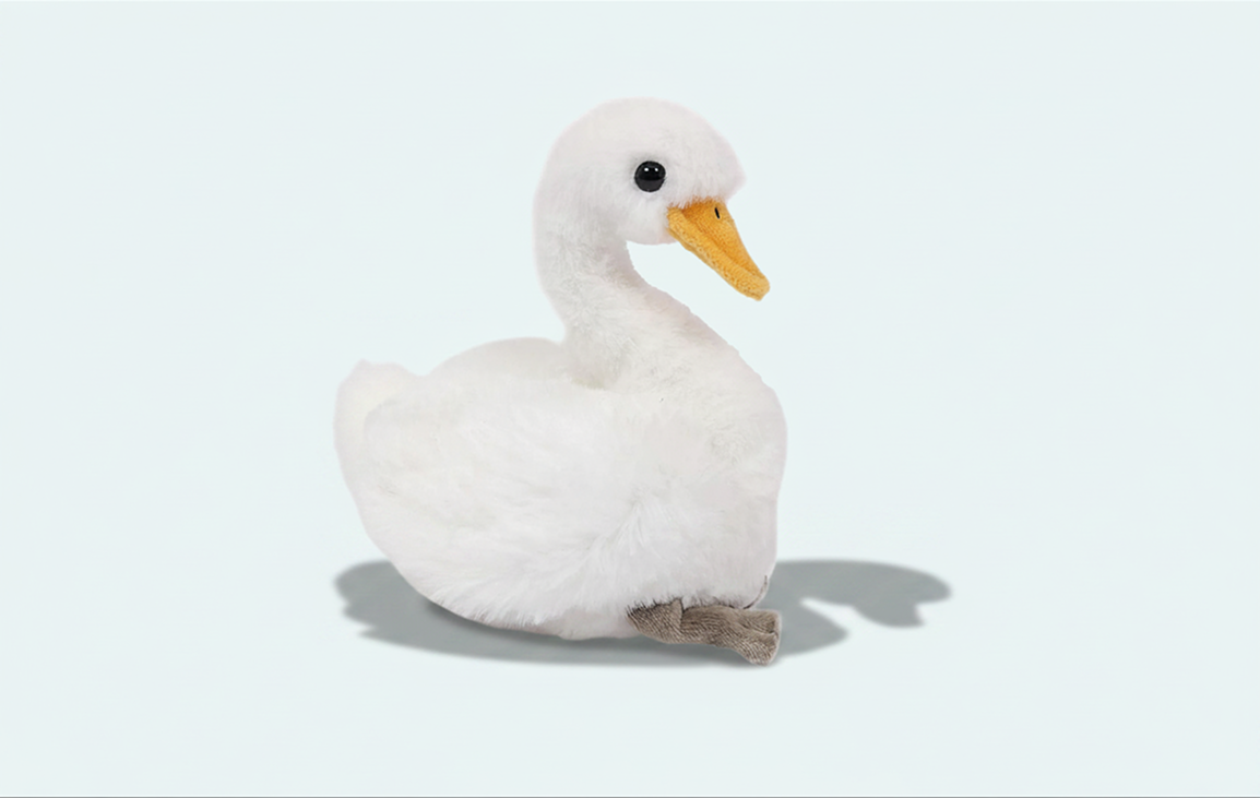 Zwaan