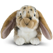 pluche-bruin-wit-hangoor-konijn-knuffel-30-cm-speelgoed_10184024-3