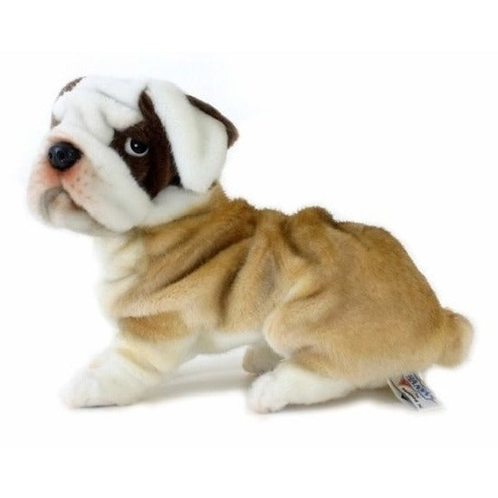hansa-knuffel-bulldog-hond-30-cm-pluche-knuffeldier-hondenknuffel-kwalitatief_10023028