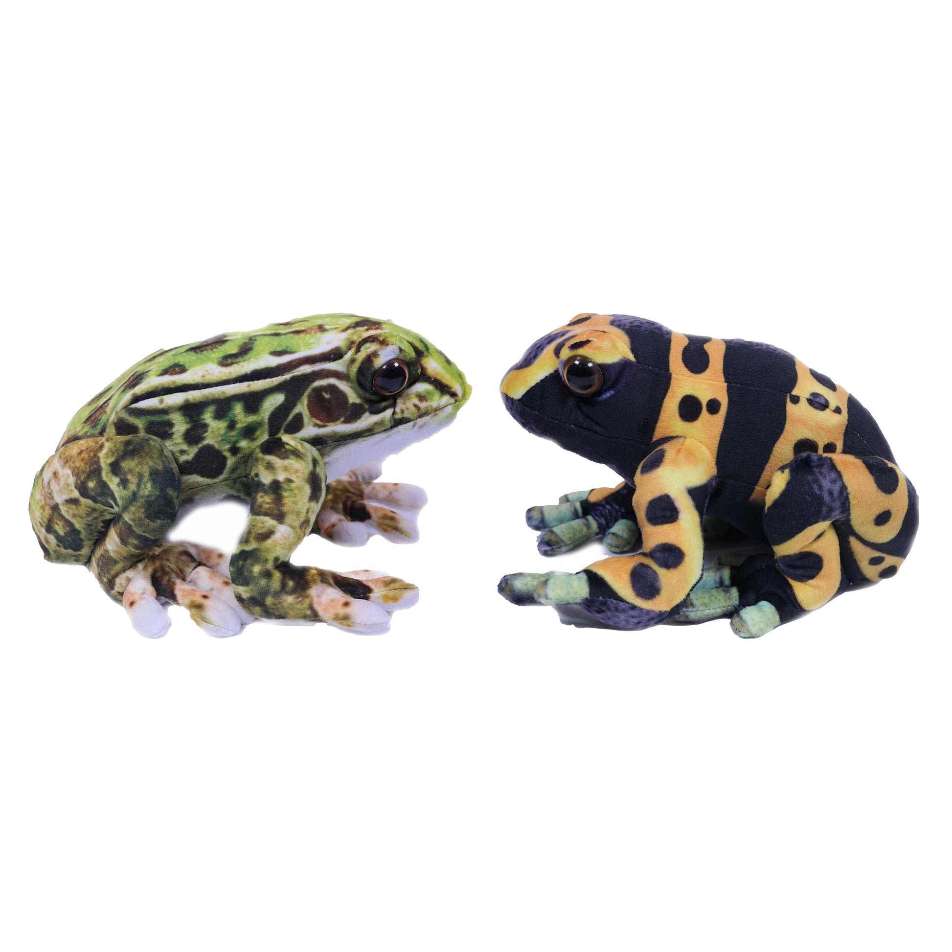 knuffeldier-kikkers-giftige-boomkikkers-2x-stuks-dieren-knuffels-groen-en-geel-24-cm_10432064