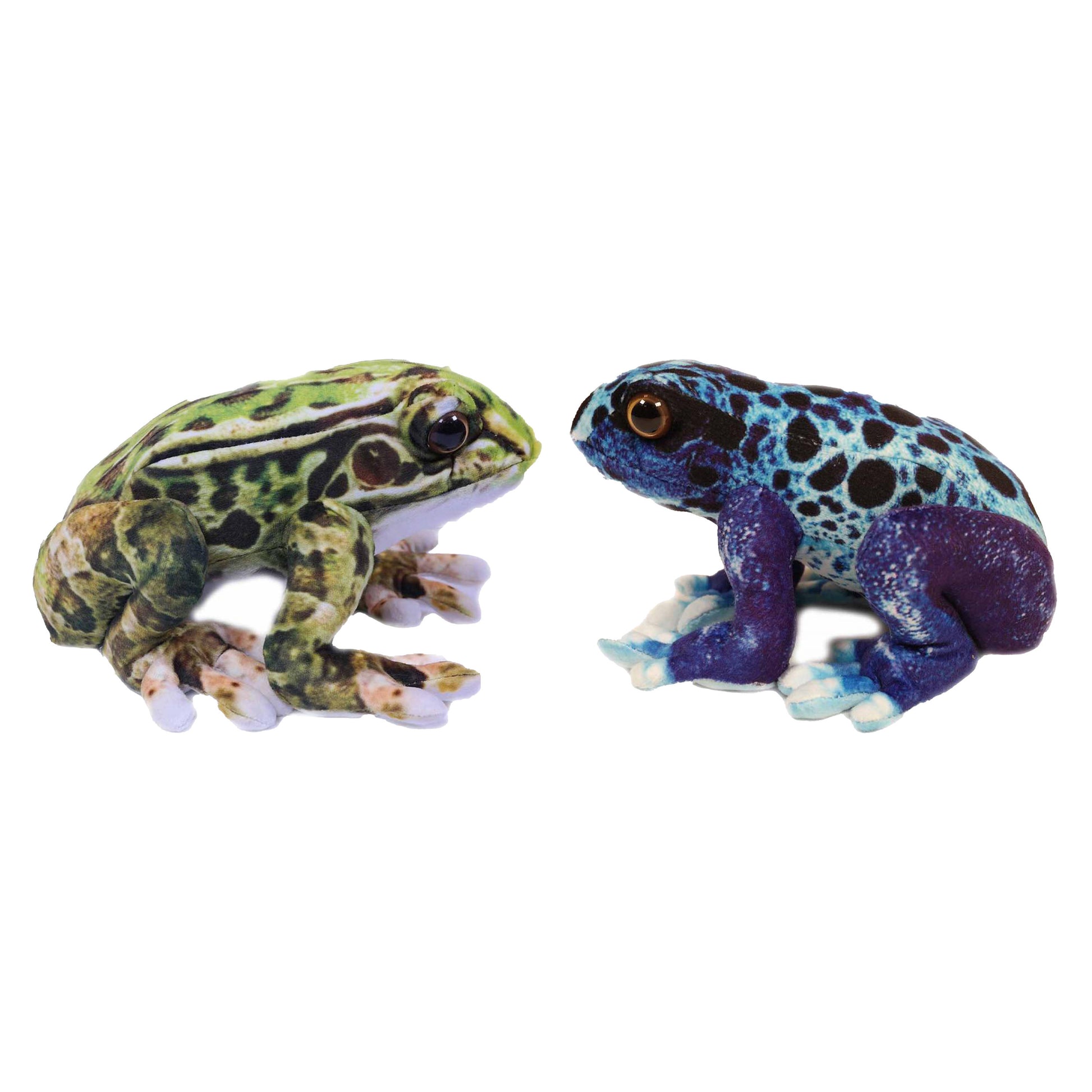 knuffeldier-kikkers-giftige-boomkikkers-2x-stuks-dieren-knuffels-groen-en-blauw-24-cm_10432065