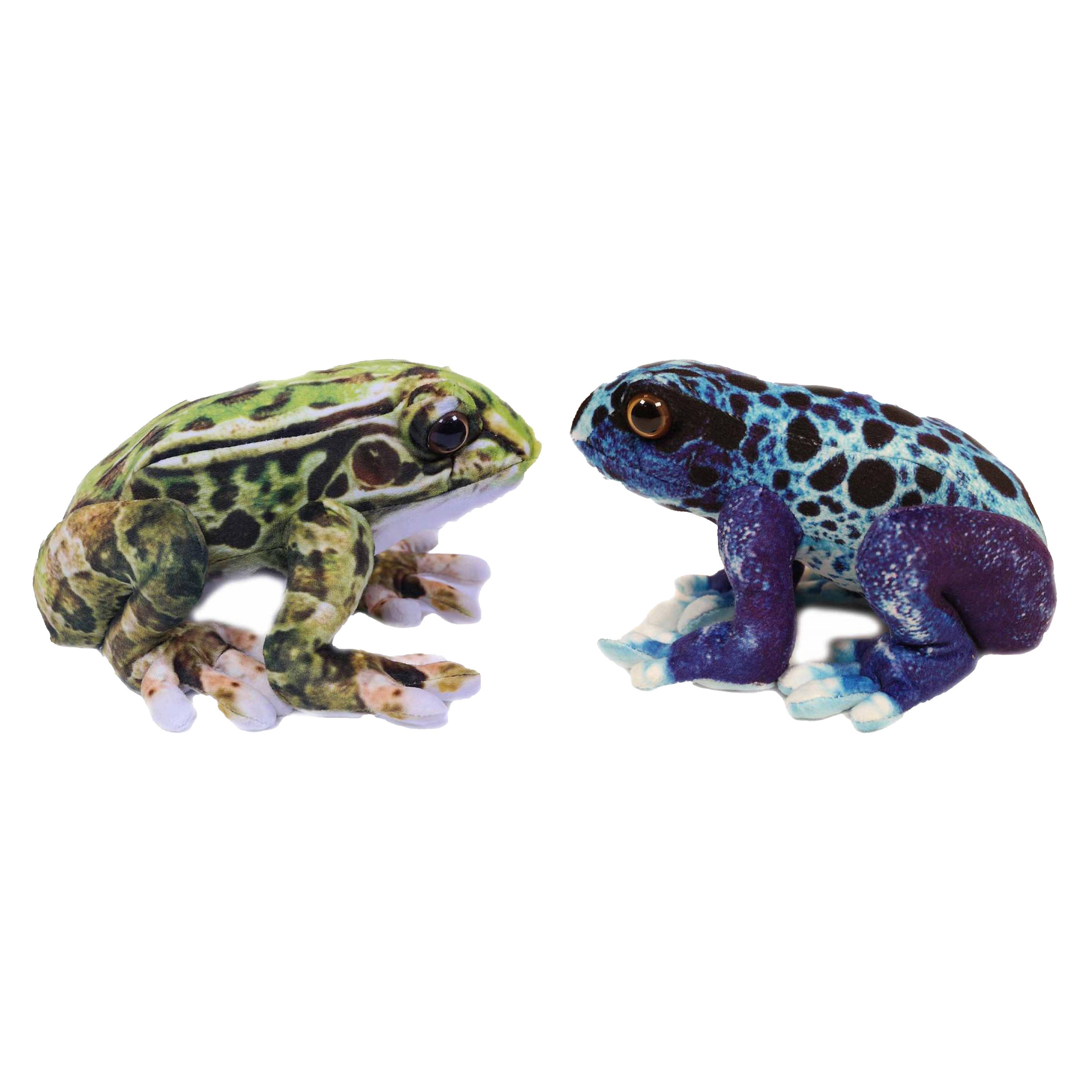 knuffeldier-kikkers-giftige-boomkikkers-2x-stuks-dieren-knuffels-groen-en-blauw-24-cm_10432065