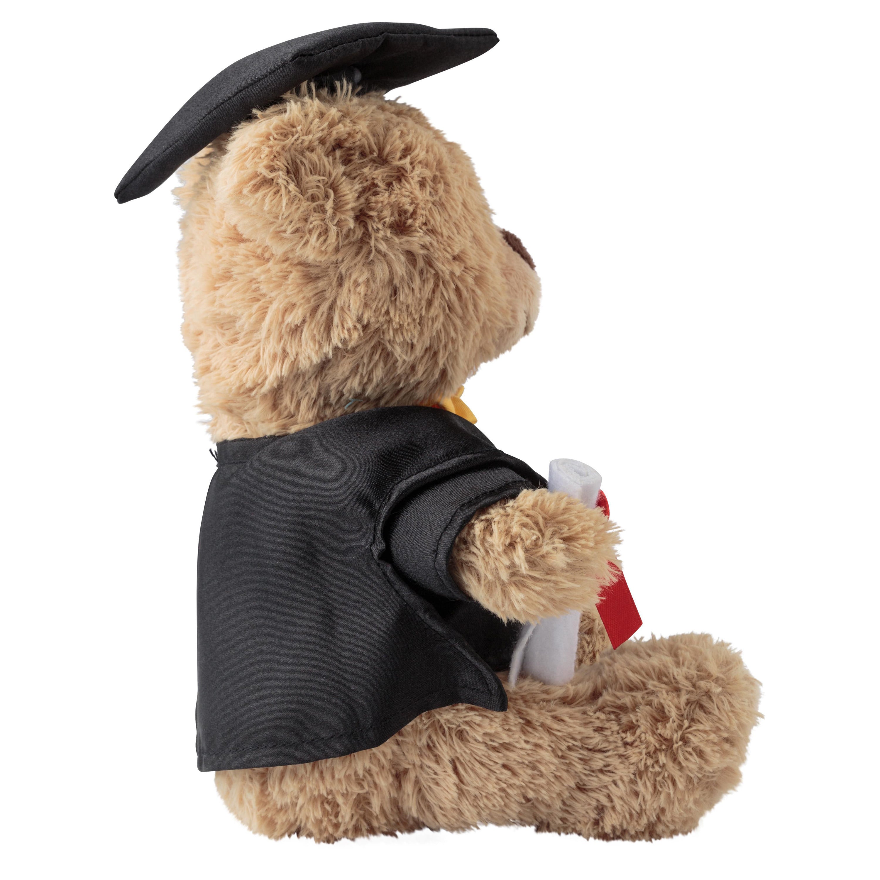 magnus-afstudeerbeer-pluche-20-cm-geslaagd-cadeau_10437075-2