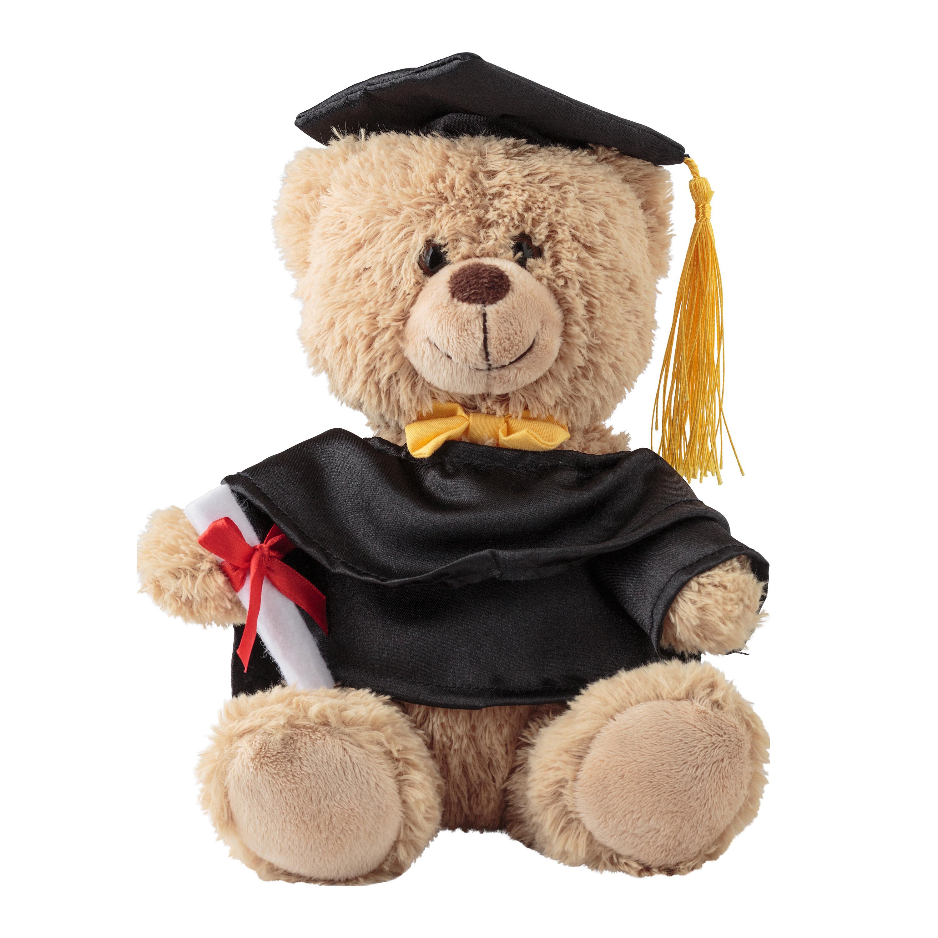 magnus-afstudeerbeer-pluche-20-cm-geslaagd-cadeau_10437075-3