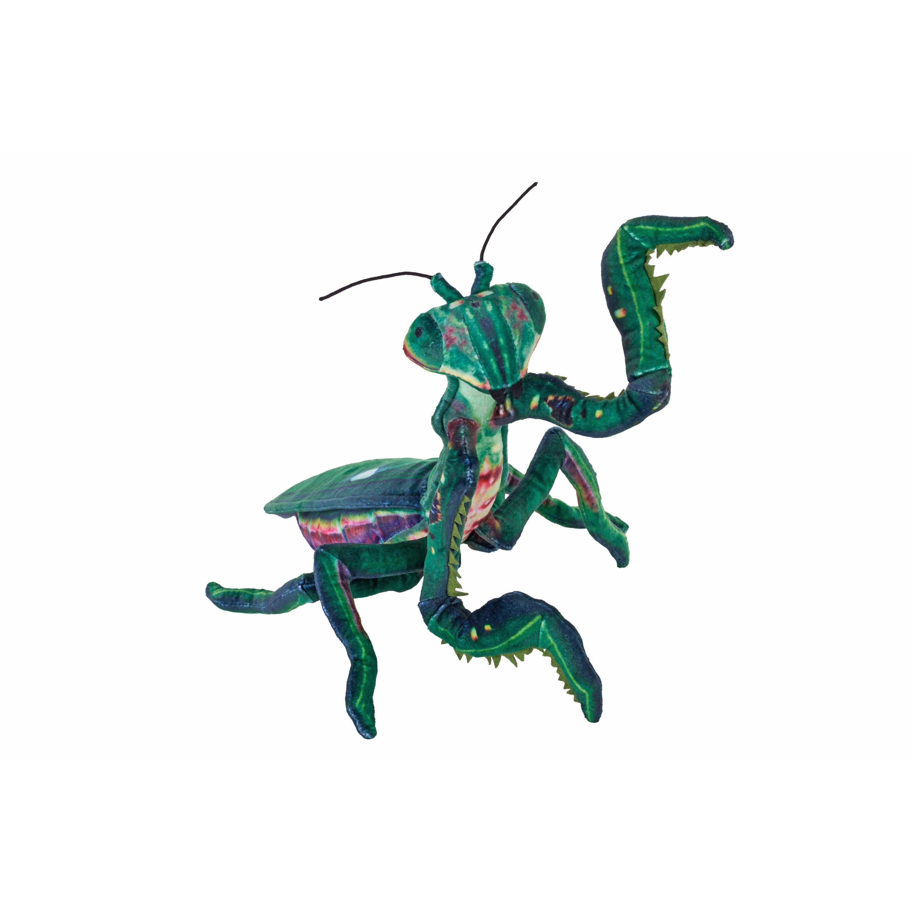 wild-republic-bidsprinkhaan-knuffel-groen-50-cm-pluche-sprinkhaan-insecten_10467076