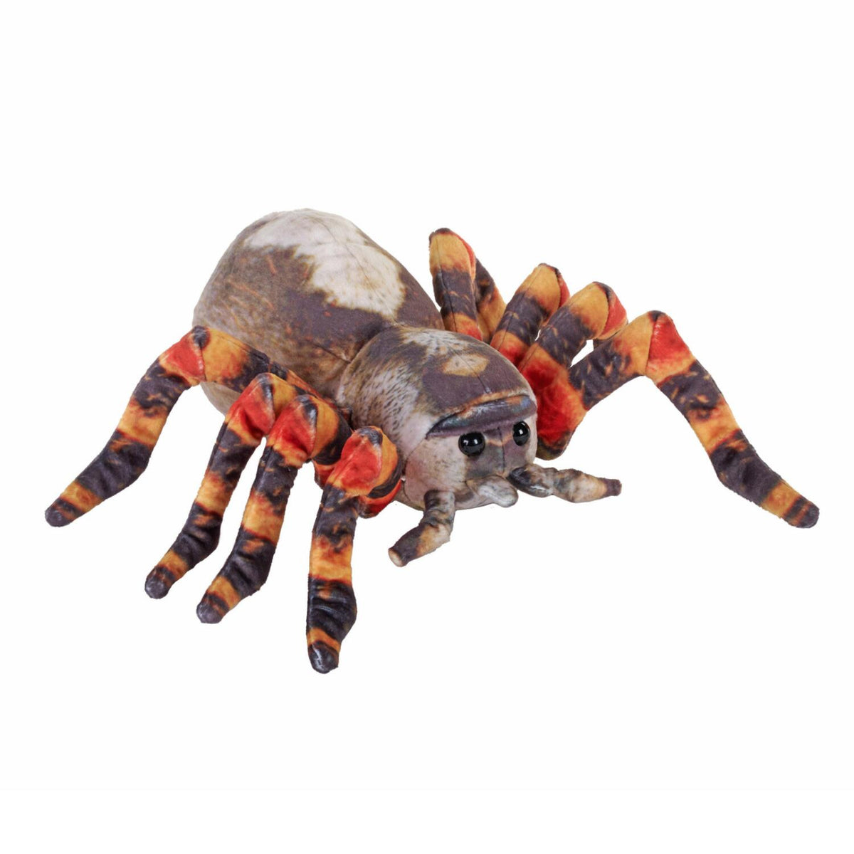 wild-republic-tarantula-knuffel-pluche-50-cm-bruin-vogelspin-dierenknuffel_10467082-4