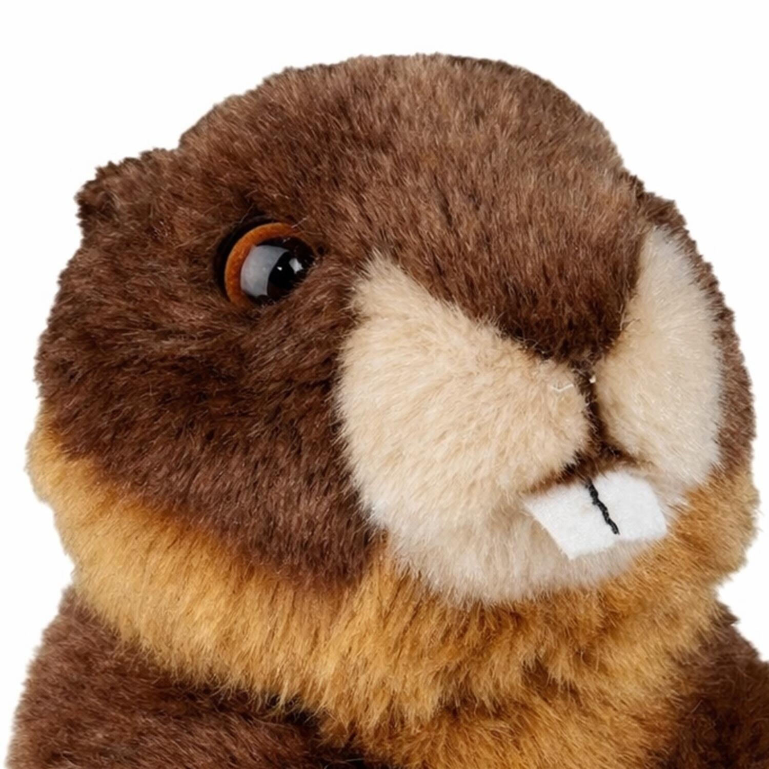 pluche-bever-knuffel-bruin-18-cm-bevers-knaagdieren-knuffels_10189084-2