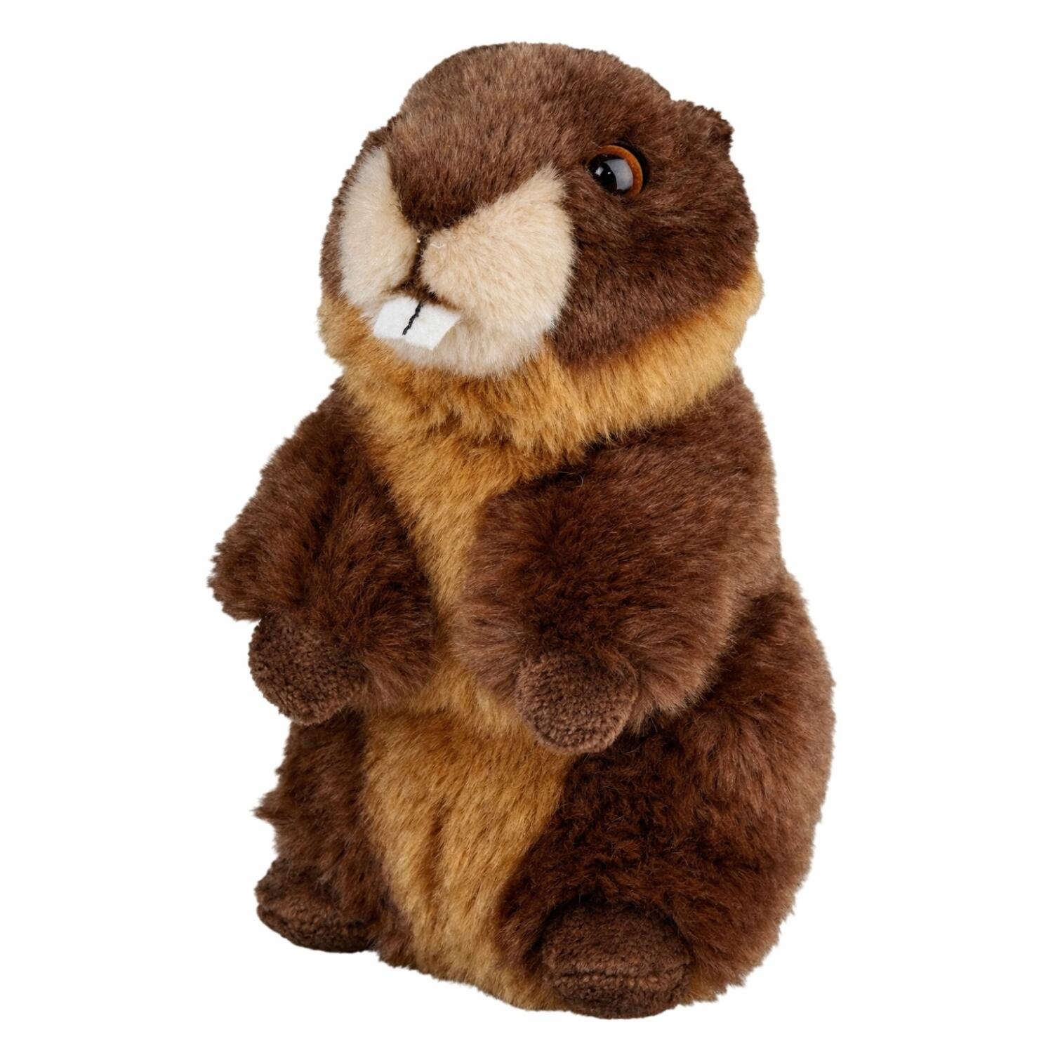 pluche-bever-knuffel-bruin-18-cm-bevers-knaagdieren-knuffels_10189084-3
