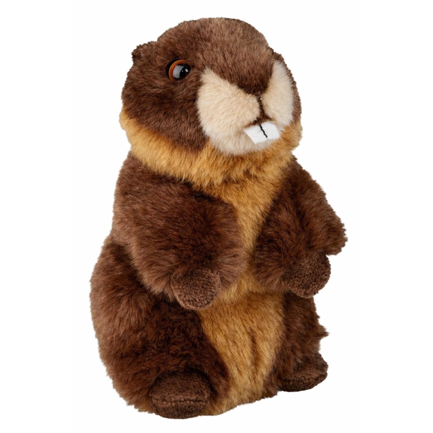 pluche-bever-knuffel-bruin-18-cm-bevers-knaagdieren-knuffels_10189084-4