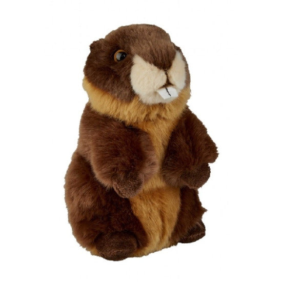 pluche-bever-knuffel-bruin-18-cm-bevers-knaagdieren-knuffels_10189084