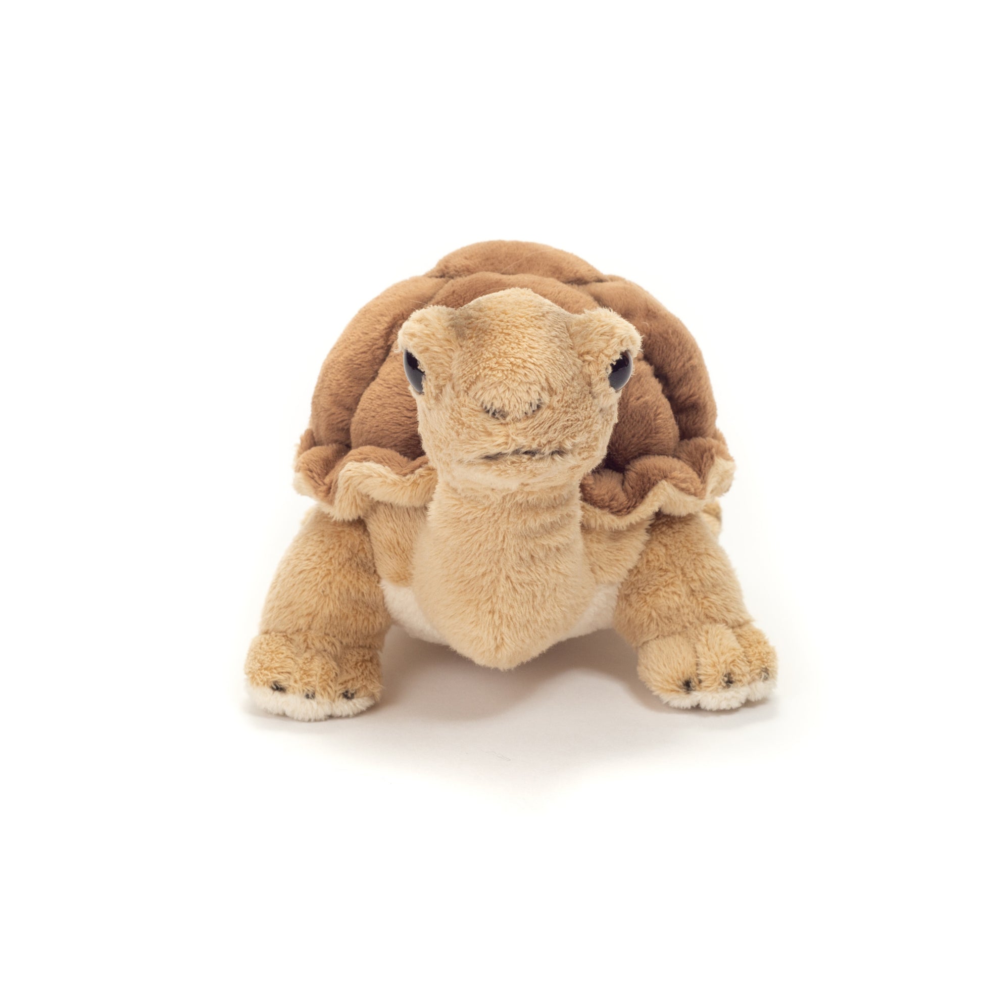 schildpad-knuffel-pluche-bruin-20-cm_10436095-1