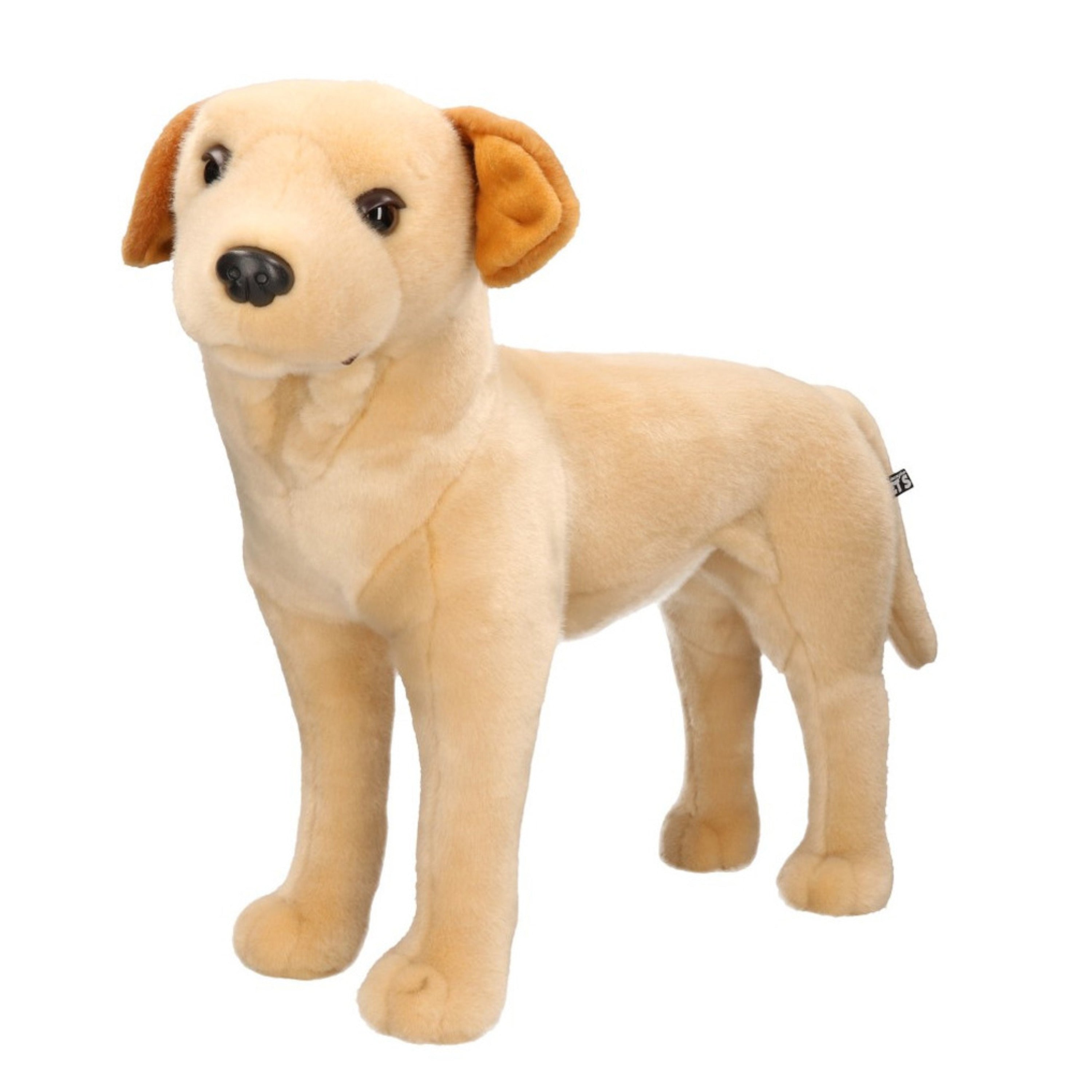 grote-pluche-blonde-labrador-hond-staand-knuffel-53-cm-speelgoed_10211095-2