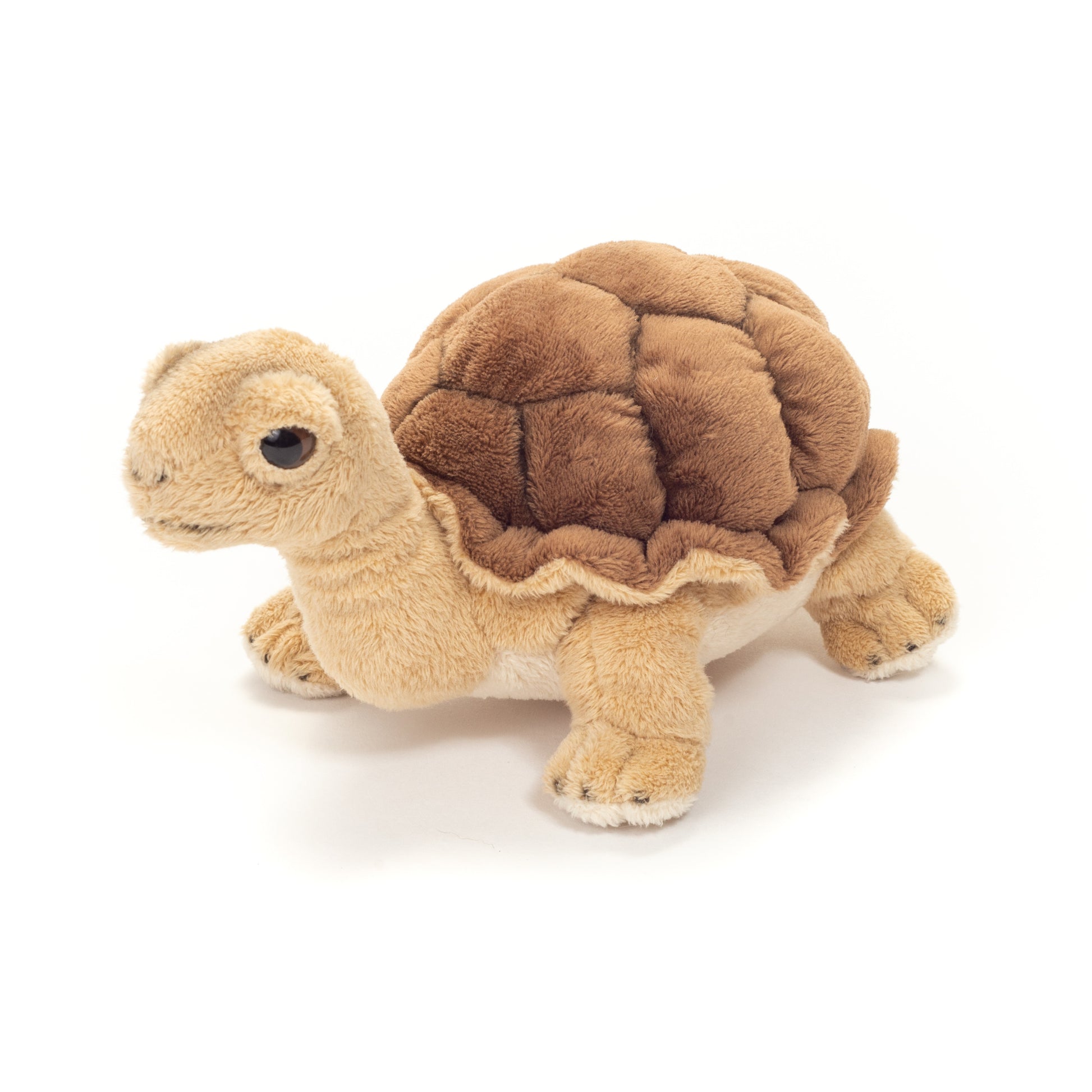 schildpad-knuffel-pluche-bruin-20-cm_10436095-5