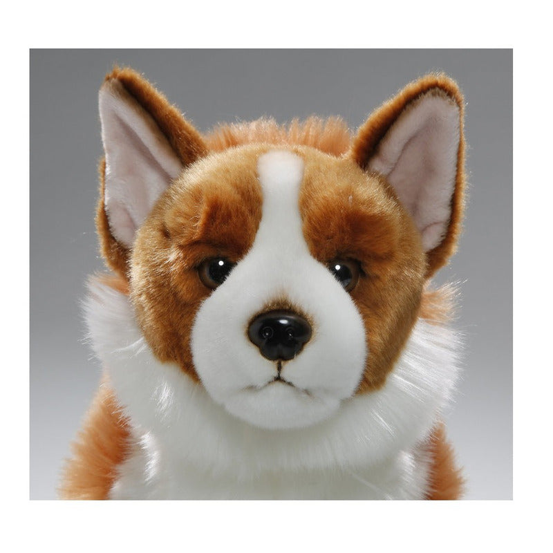 carldick-pluche-knuffel-corgi-hond-bruin-wit-35-cm-huisdieren-knuffel-hondenknuffel_10184097-1
