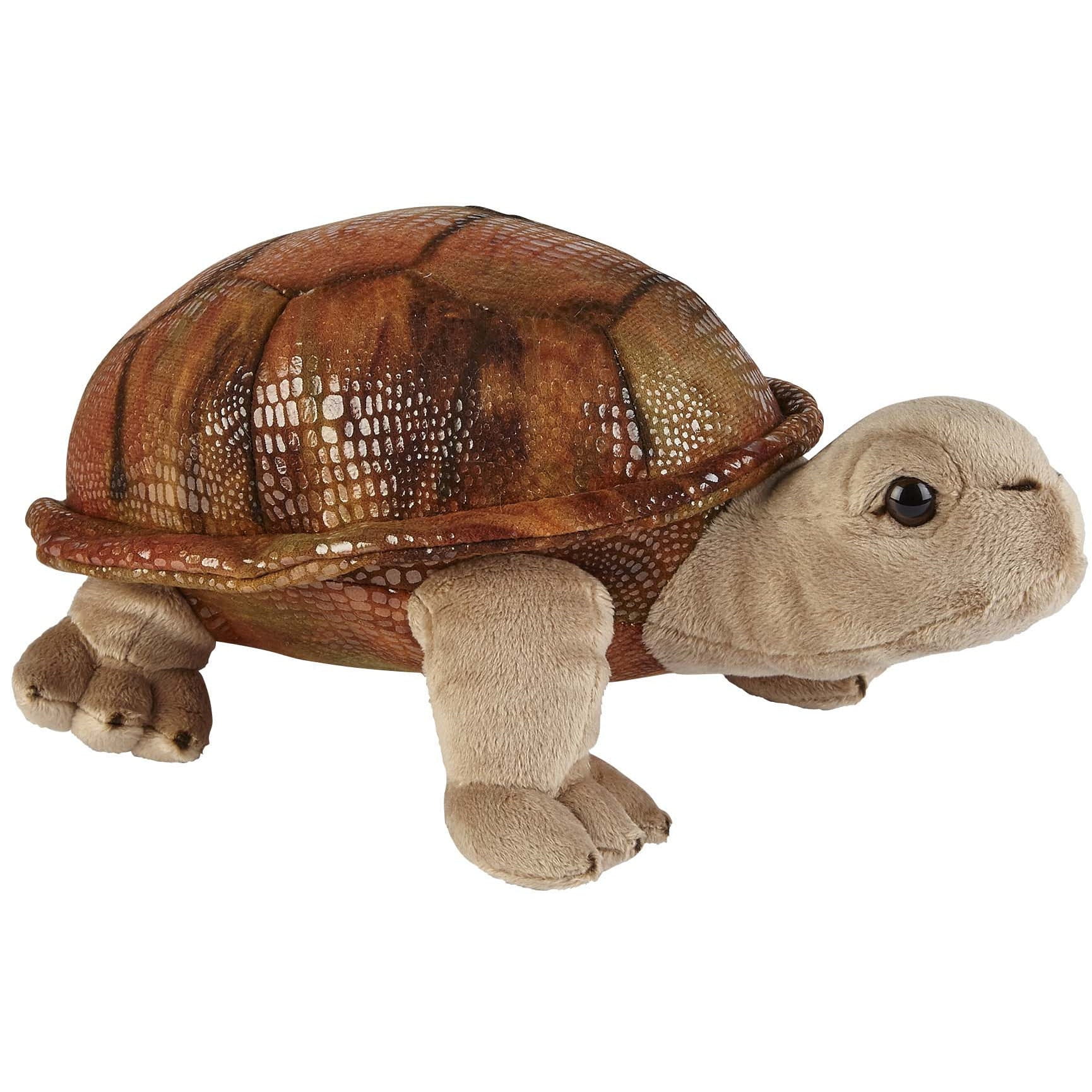 Land schildpad knuffel - pluche - 32 cm - dierencadeau - Pluchen speelgoed