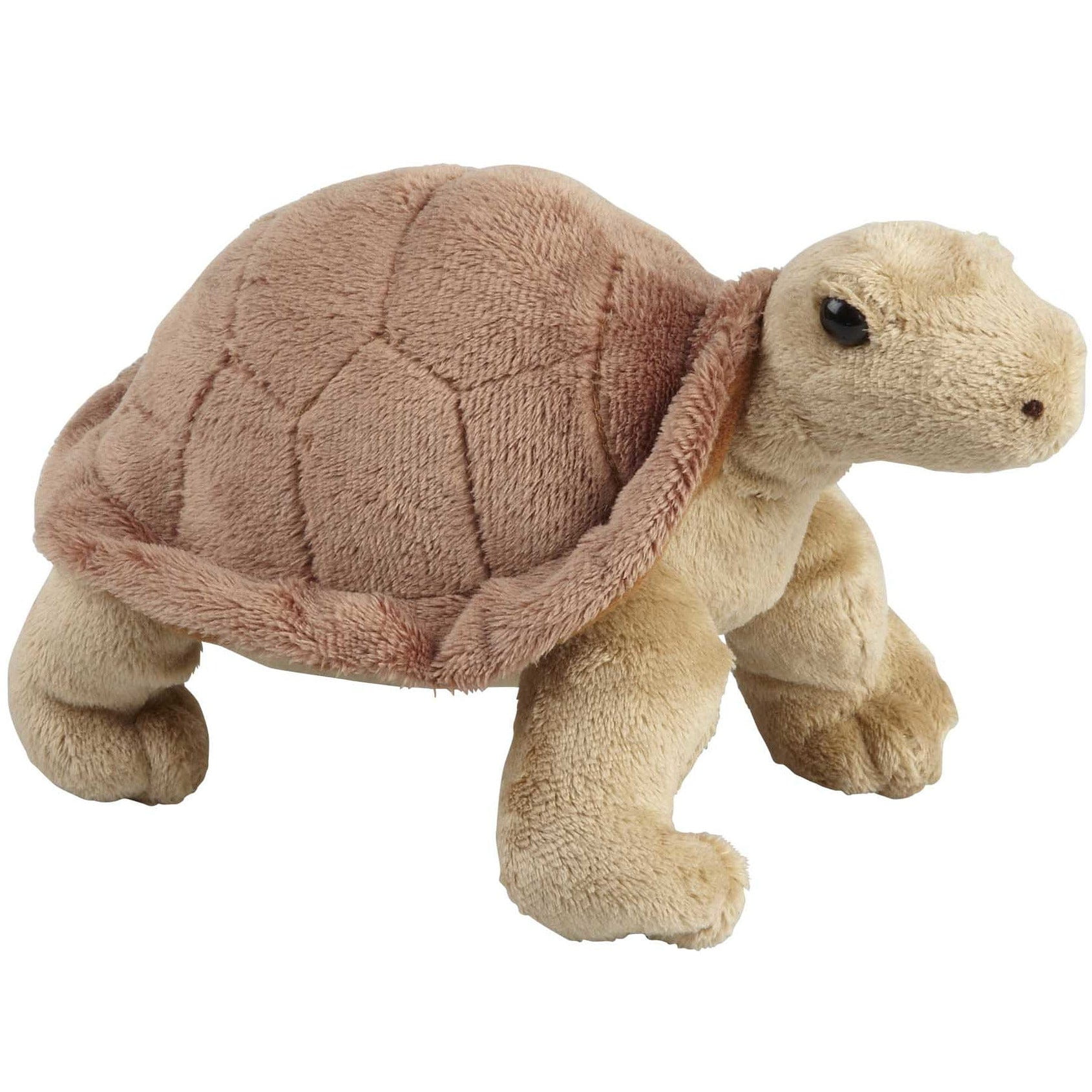 Ravensden landschildpad knuffel - pluche - 18 cm - schildpad - Pluchen speelgoed