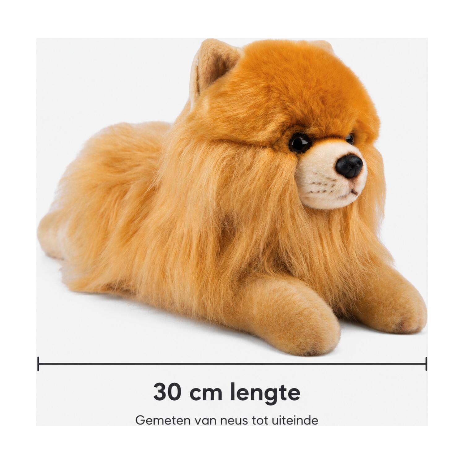 pomeranian-knuffel-pluche-30-cm-blond-hond_10325155-4