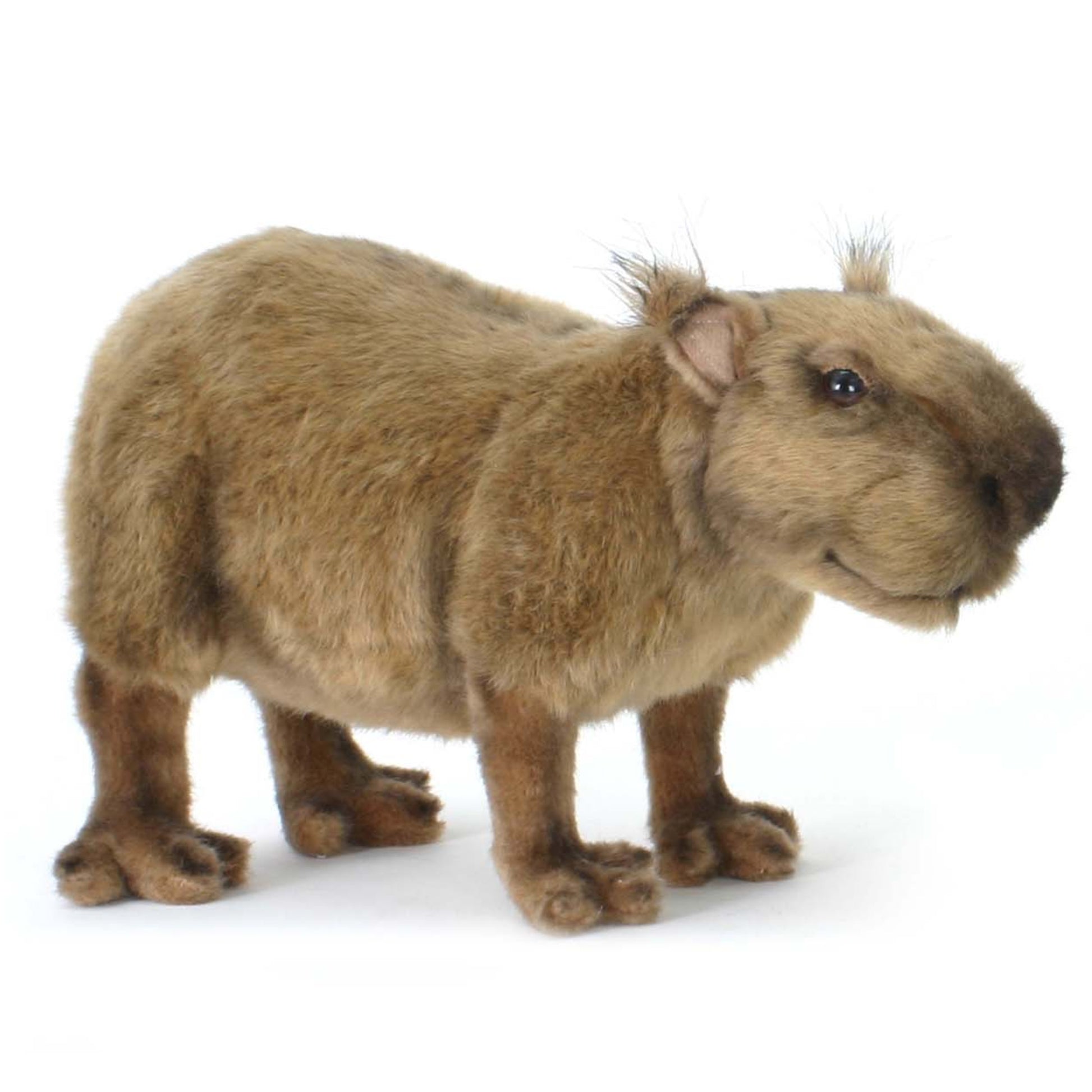 hansa-pluche-capibara-knuffel-33-cm-jungle-knuffels_10022159-4