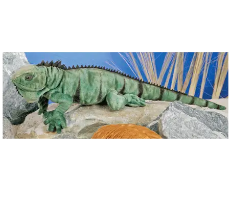 Semo pluche leguaan knuffel - groen - 64 cm - reptiel - Pluchen speelgoed