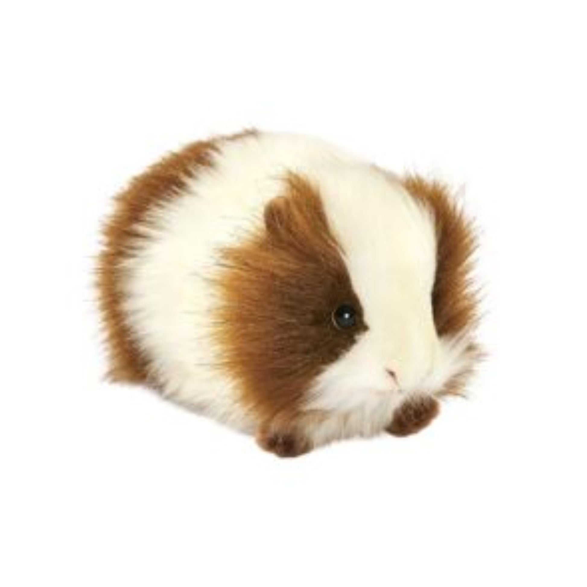 hansa-knuffel-cavia-wit-bruin-30-cm-knuffeldier-realistische-knuffels_10061189-2