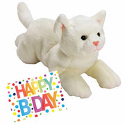 pluche-knuffel-witte-kat-poes-33-met-a5size-happy-birthday-wenskaart_10327228