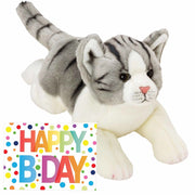 pluche-knuffel-grijs-witte-kat-poes-33-met-a5size-happy-birthday-wenskaart_10327230