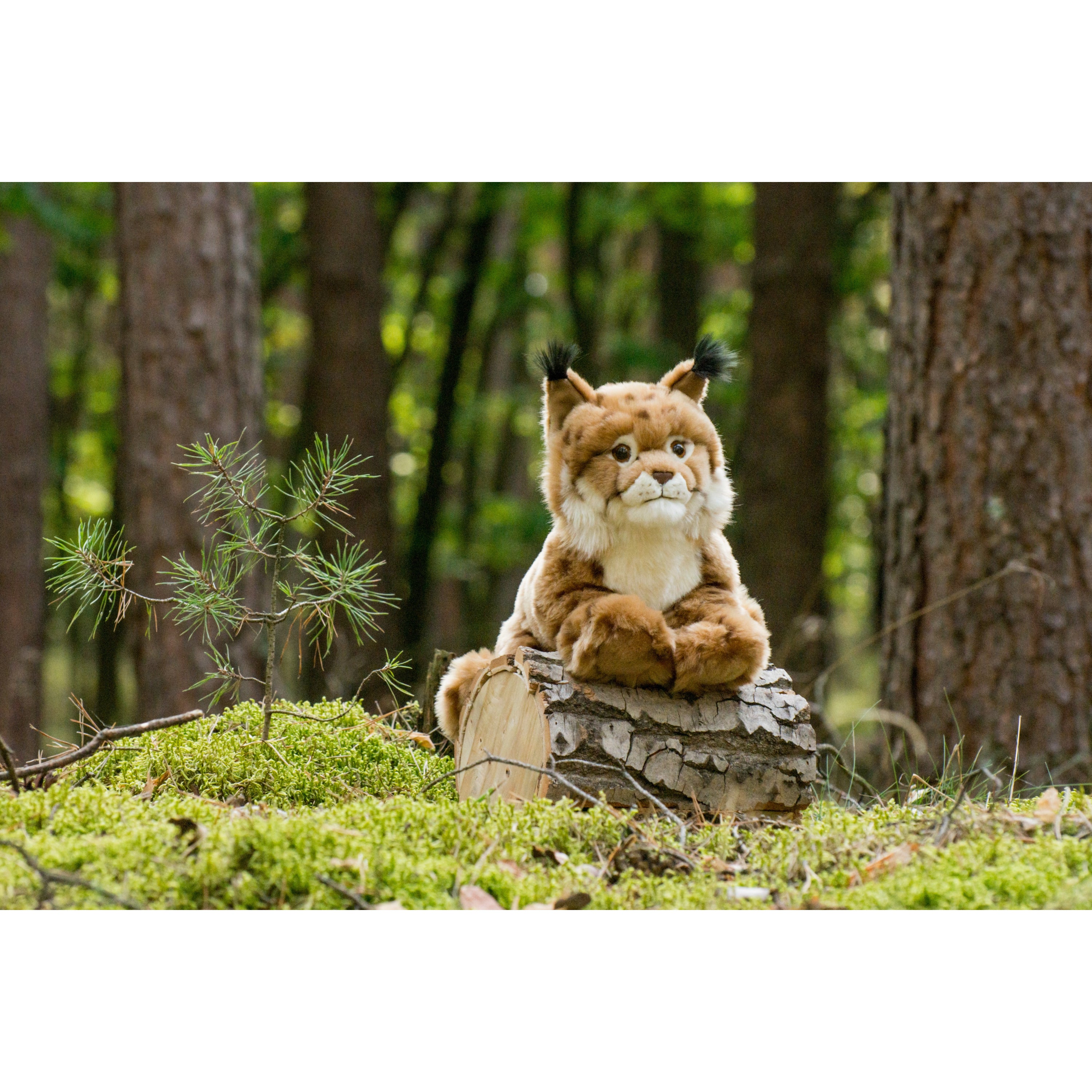 lynx-knuffel-zachte-pluche-lichtbruin-45-cm_10434271-1