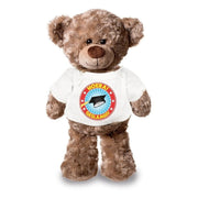 Geslaagde teddybeer knuffel - pluche - 24 cm - shirt - Pluchen speelgoed