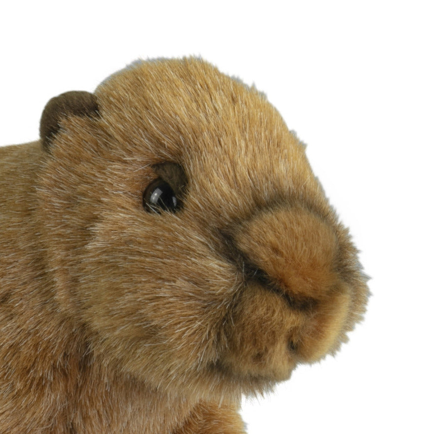 knuffeldier-capybara-zachte-pluche-stof-premium-kwaliteit-knuffels-bruin-18-cm_10434324-3