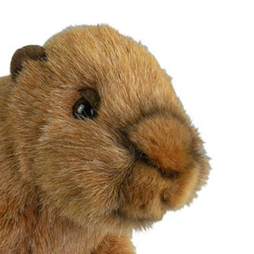 nature-planet-capybara-knuffel-pluche-bruin-20-cm_10434325-1