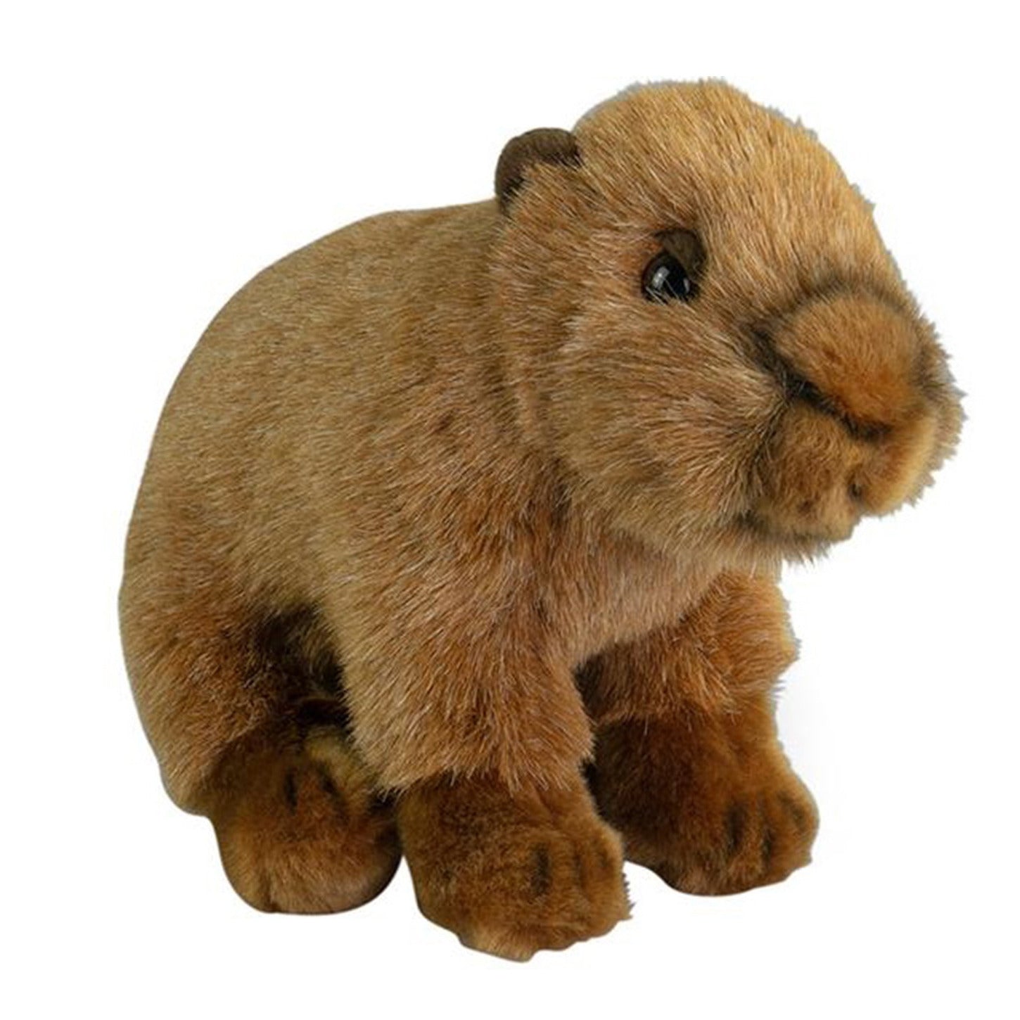 nature-planet-capybara-knuffel-pluche-bruin-20-cm_10434325