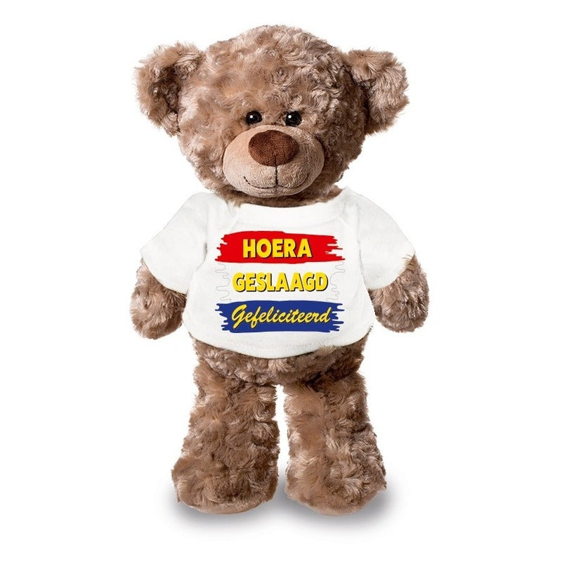knuffel-teddybeer-geslaagd-24-cm-pluche-met-shirt_10147329
