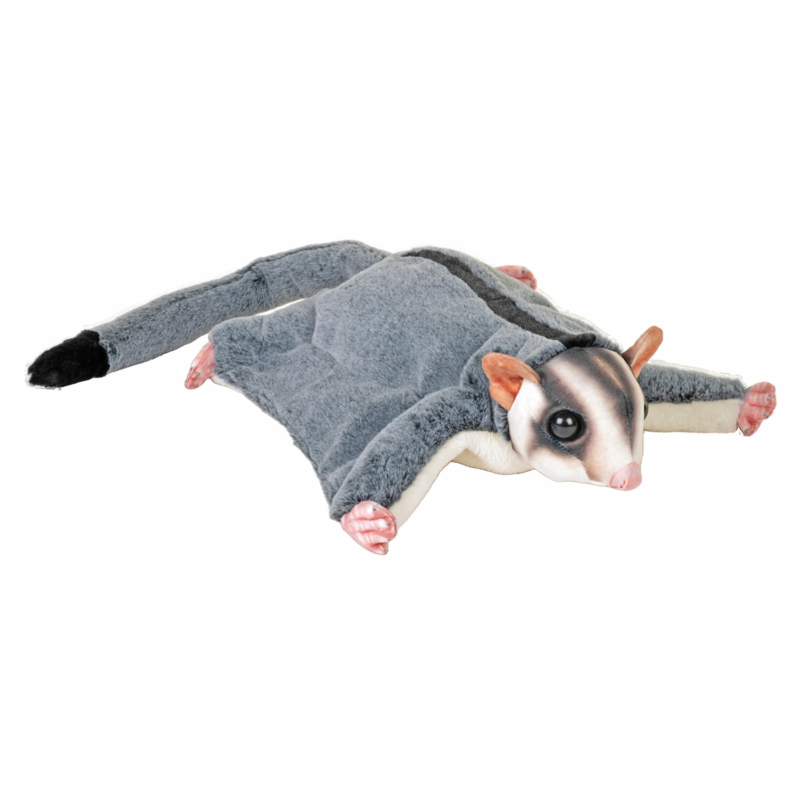 wild-republic-suikereekhoorn-knuffel-pluche-30-cm-nachtdieren-buideleekhoorn_10465354