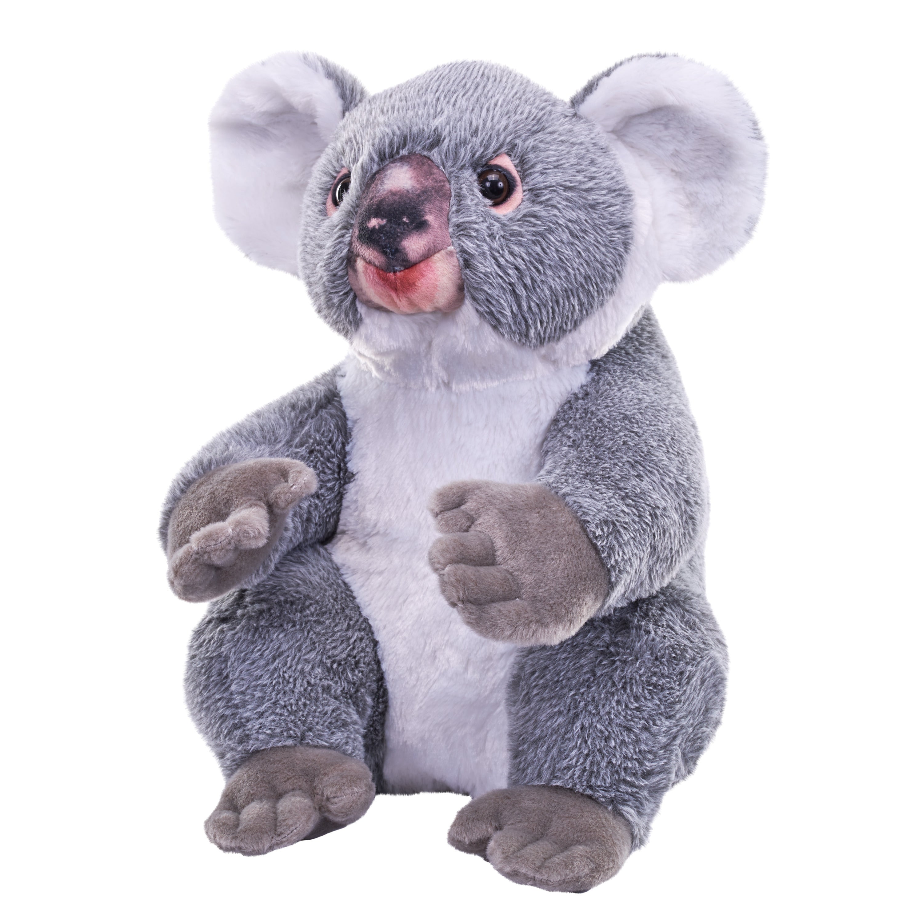 wild-republic-koala-beer-knuffel-30-cm-pluche-australische-dieren-knuffeldieren_10465356