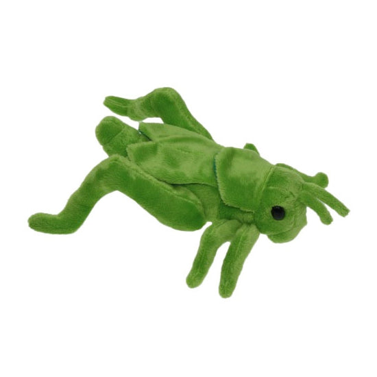 sprinkhaan-pluche-knuffel-dier-groen-insecten-26-cm_10075370