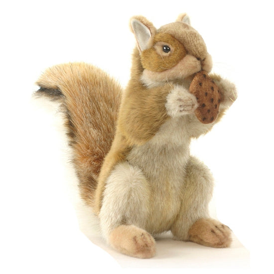 hansa-pluche-eekhoorn-knuffel-22-cm-pluche-knuffeldier_10025371-1