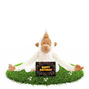 Verjaardag knuffel aapje - pluche - 23 cm - cadeau - Pluchen speelgoed
