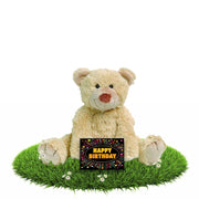 verjaardag-knuffelbeer-boogy-35-cm-met-gratis-verjaardagskaart_10118378