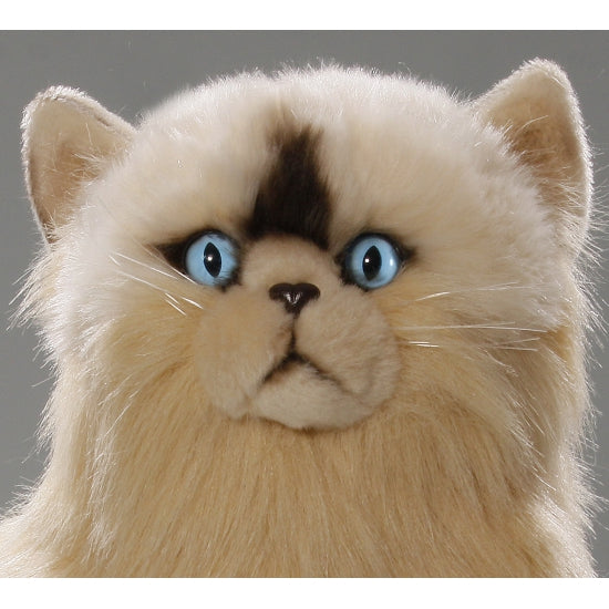 carldick-pluche-perzische-kat-poes-35-cm-knuffel-kat-kattenknuffel-knuffeldier_10059416-1