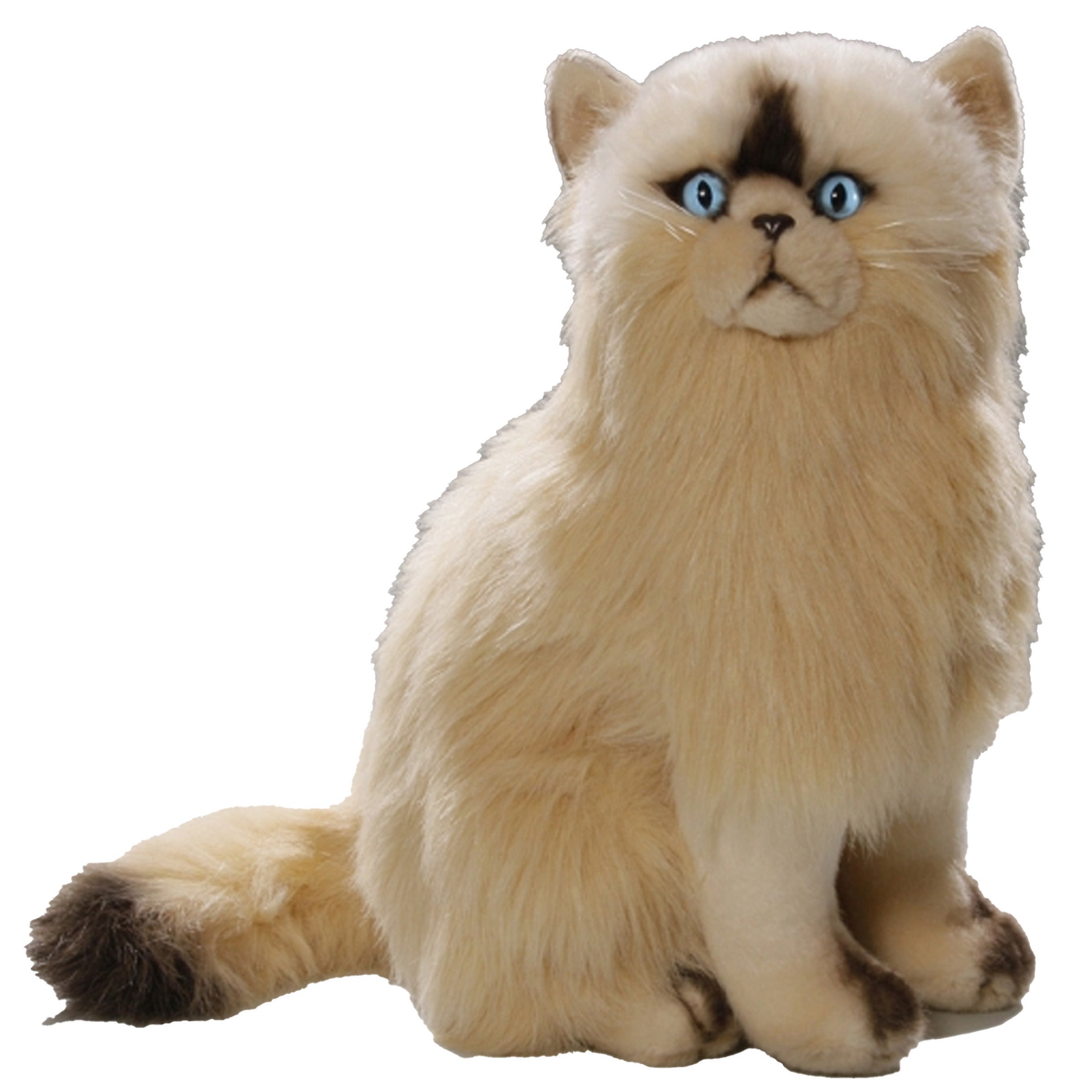 carldick-pluche-perzische-kat-poes-35-cm-knuffel-kat-kattenknuffel-knuffeldier_10059416-4