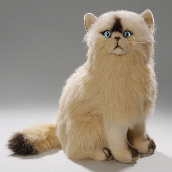 carldick-pluche-perzische-kat-poes-35-cm-knuffel-kat-kattenknuffel-knuffeldier_10059416