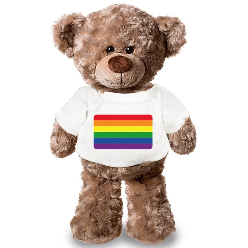 knuffel-teddybeer-gaypride-43-cm-pluche-met-shirt_10149420