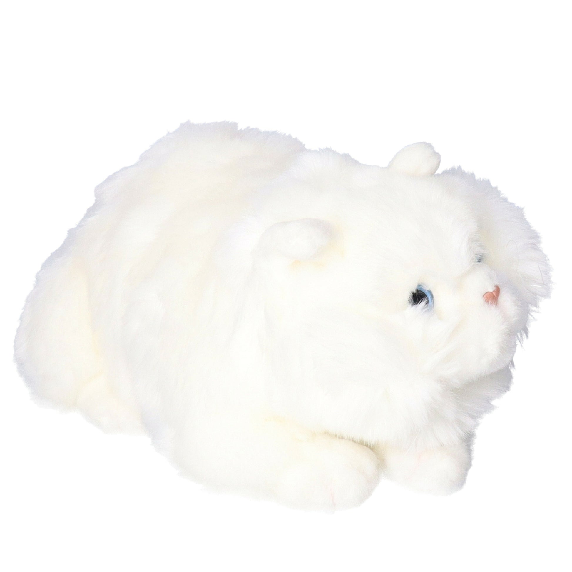pluche-perzische-colourpoint-katten-poezen-knuffel-creme-30-cm_10325433-7