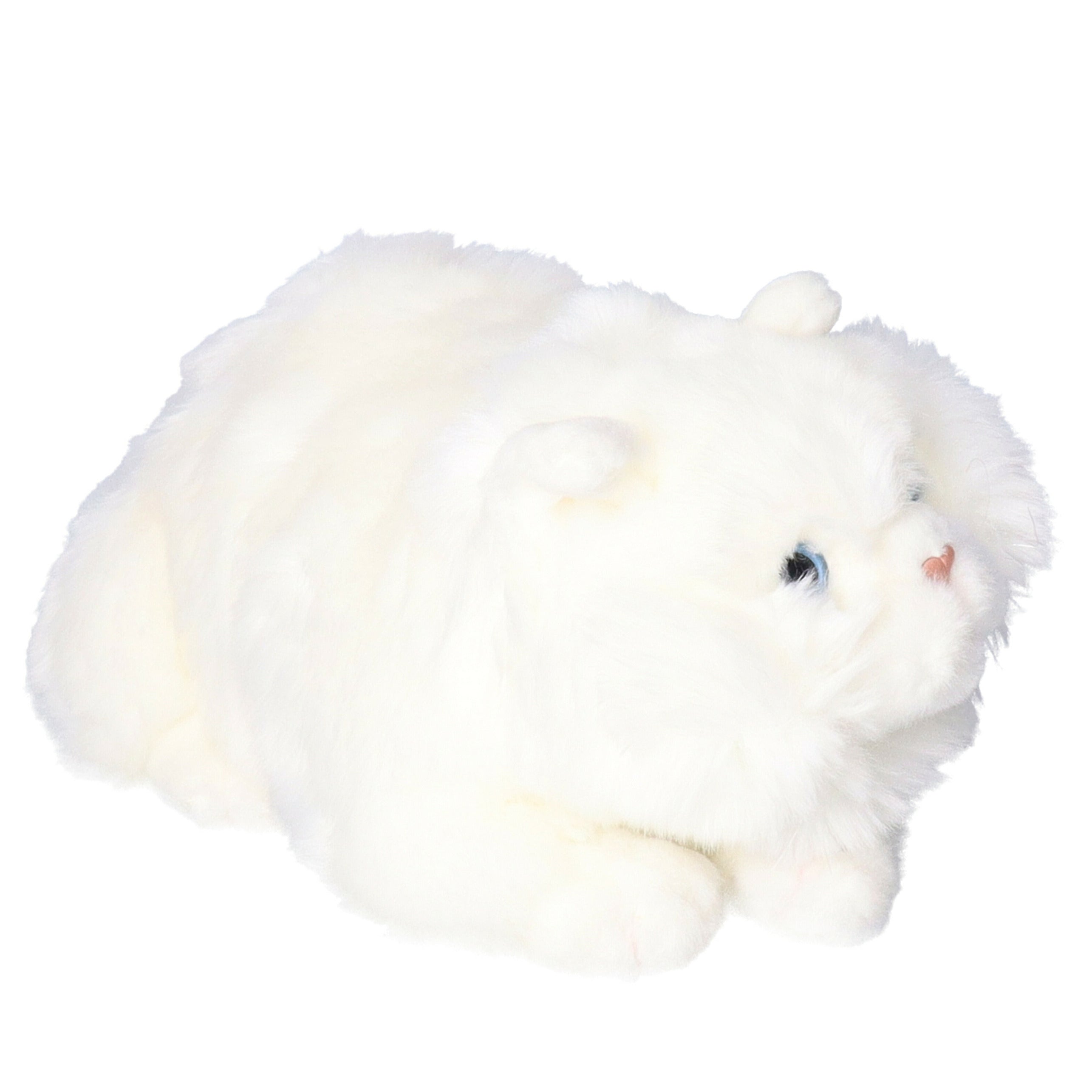 pluche-perzische-colourpoint-katten-poezen-knuffel-creme-30-cm_10325433-7