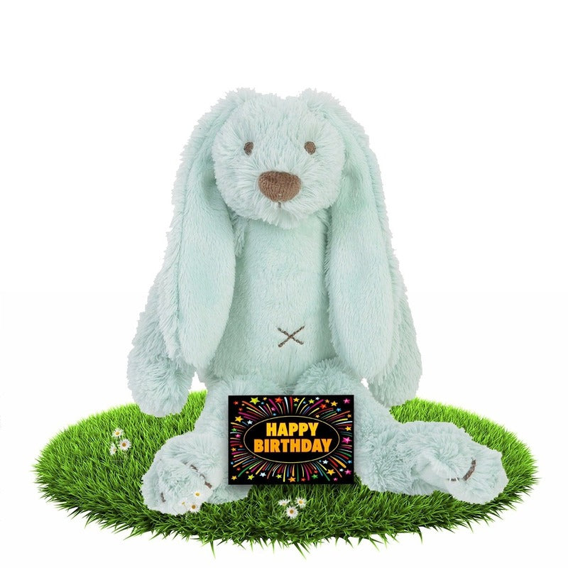 verjaardag-knuffel-konijn-richie-mintgroen-28-cm-met-gratis-verjaardagskaart_10118453